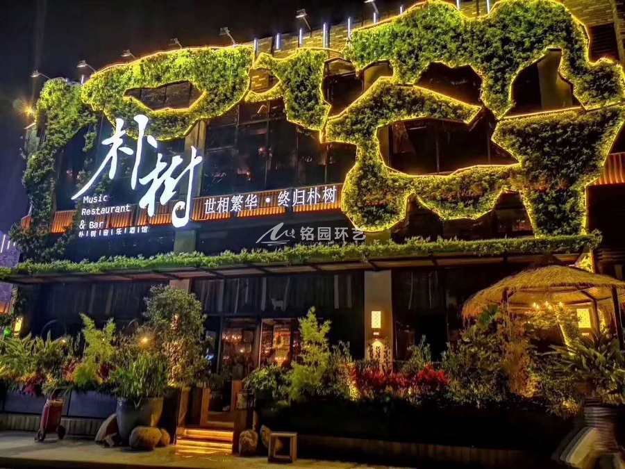 餐吧外墙绿植墙