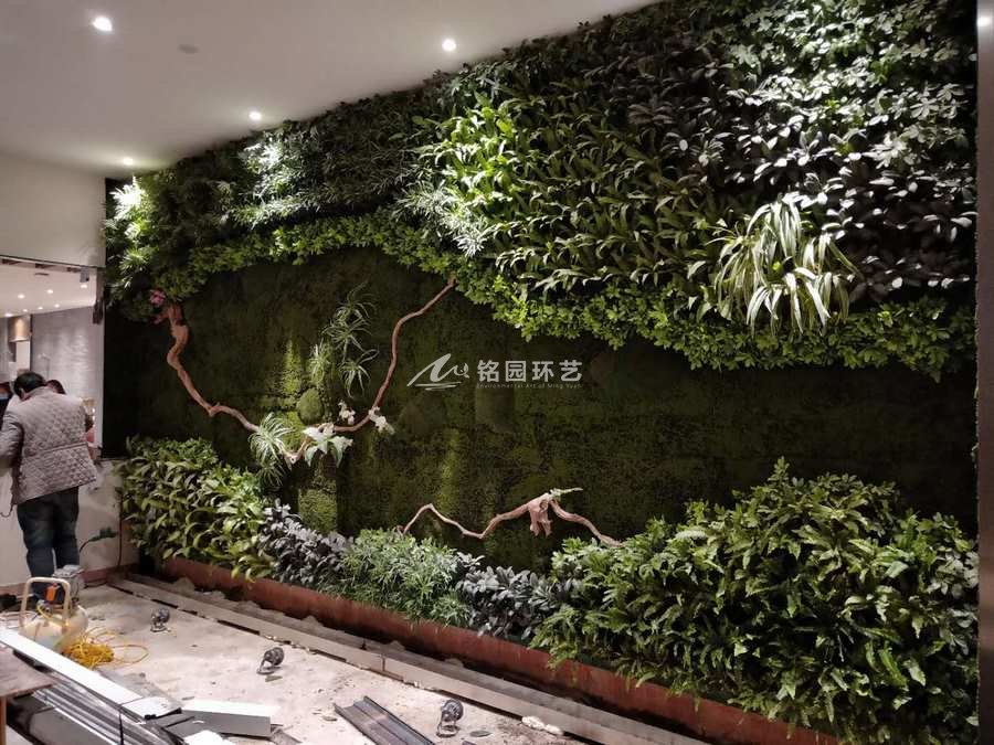 烤鸭店植物墙