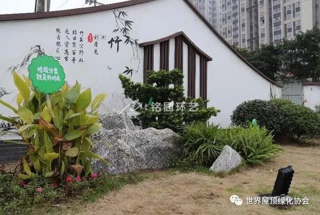 重庆立体绿化，让市政老修建旧貌焕新颜