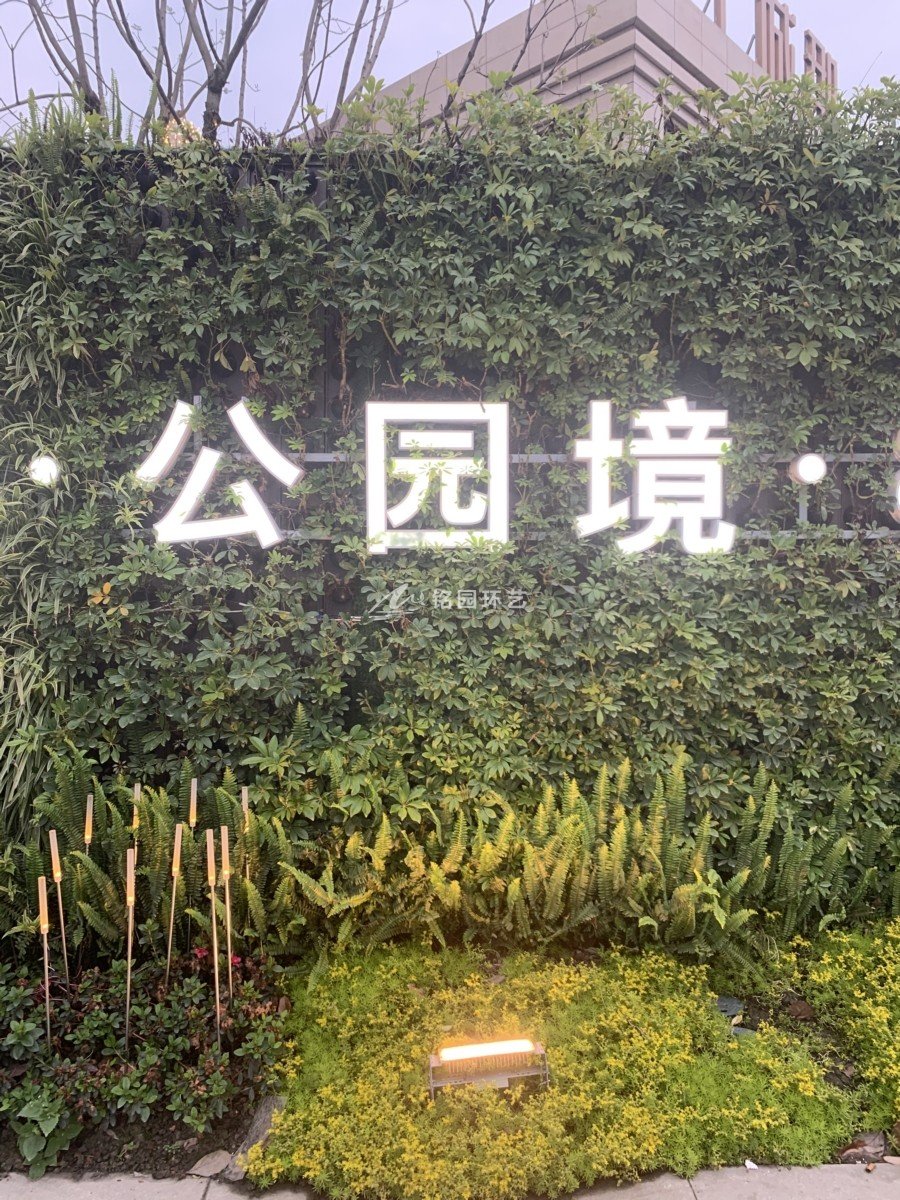 室外阻遏植物墙