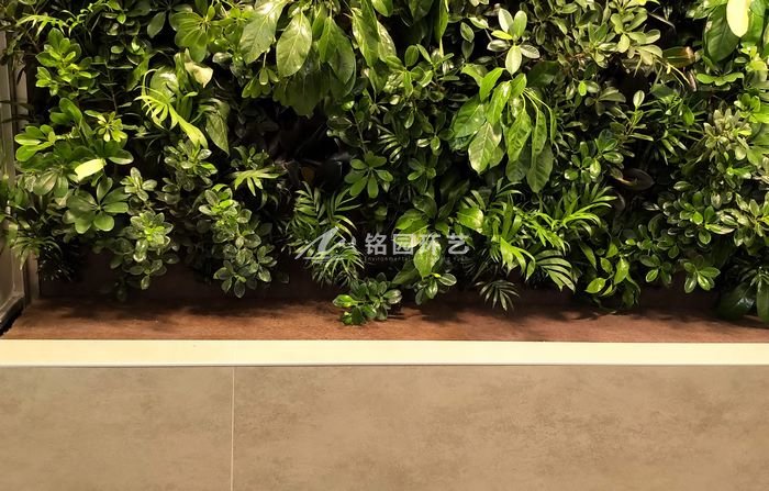 植物墙效果图案例